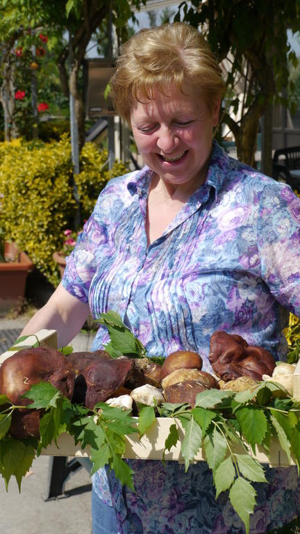 Albergo Ristorante Sterlina Grizzana Ruang foto